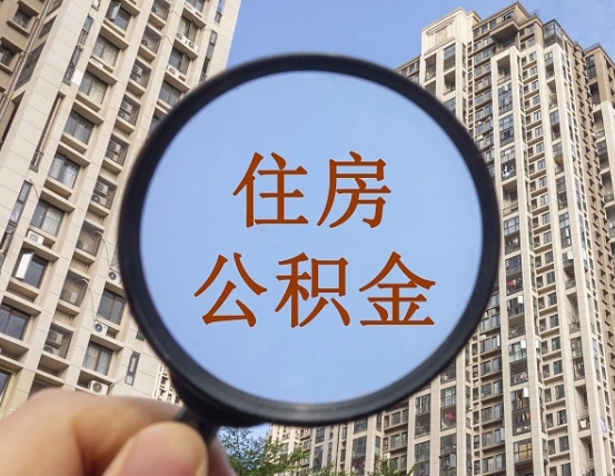 神农架退休后查不到公积金明细了吗（退休后公积金查询不到原因）